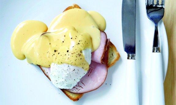 avga benedict exo