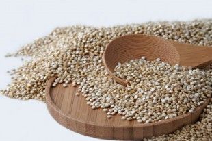 ospria_olivemagazine.gr