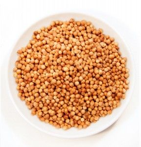 SINAPOSPOROS