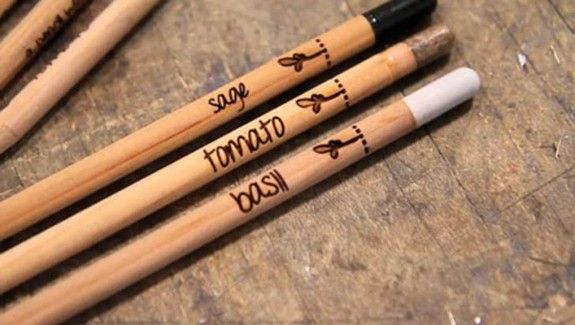 pencilsvot1