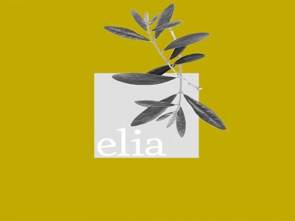 elia800Χ600