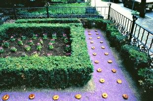 bagelgarden_1