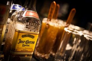Cuervo