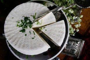 turi-lefko_10714765