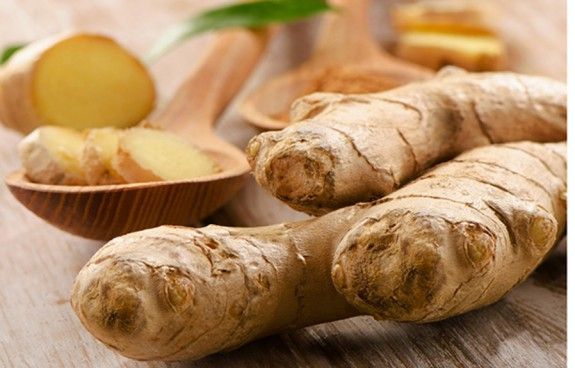 ginger_251471392