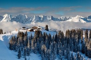 mountain-restaurants