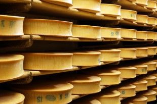 beaufort-cheese