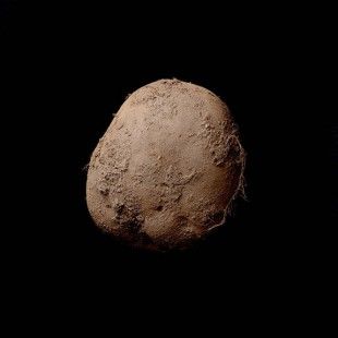 potatoANOIGMA
