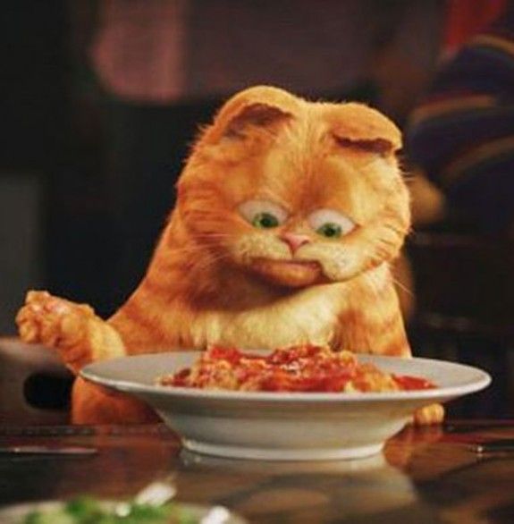 garfield_anoigma