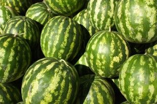 karpouzi_92789278