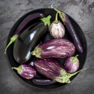 melitzana anoigma