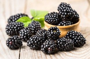 berries3