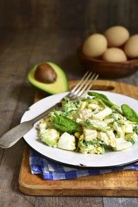 SALATA-ME-ABGA
