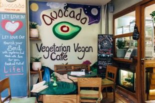 avocado-anoigma