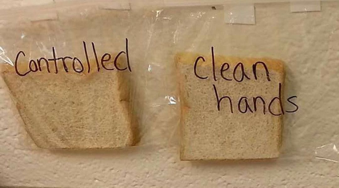 clean hands_anoigma