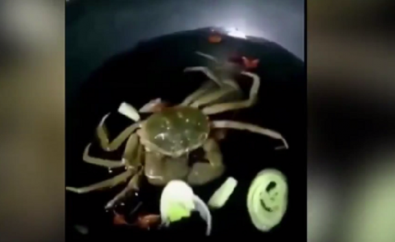 kavouras video