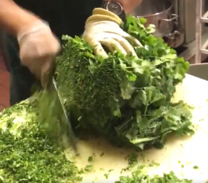 cilantro2