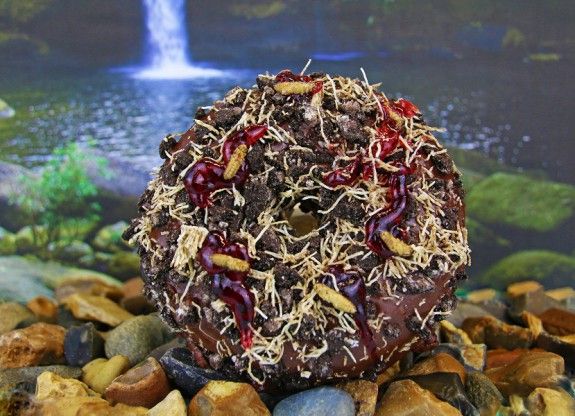 donut-edoma