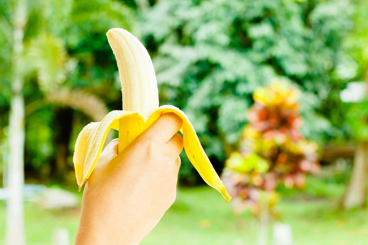 banana (2)