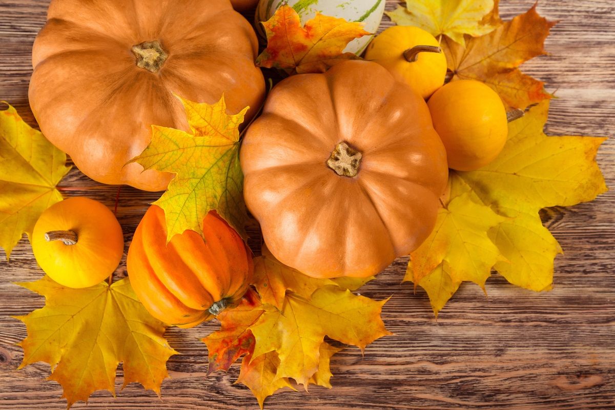 Pumpkin.