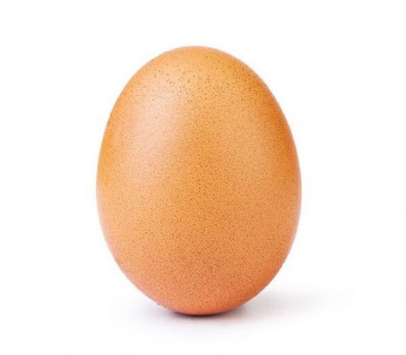 20190115145108_egg-anoigma