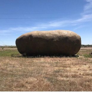 potato-hote-1556117679