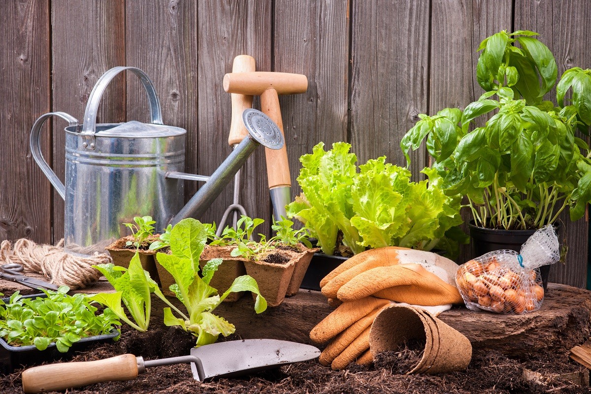 Gardening
