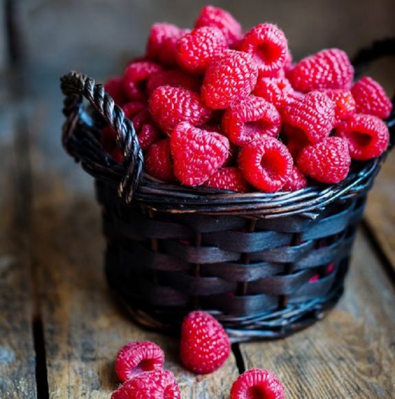raspberry_anoigma