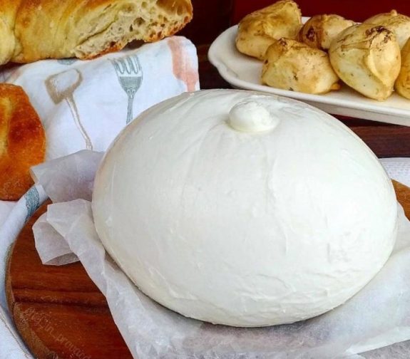 motsarela