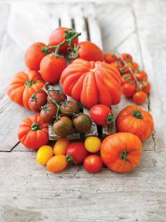 ntomates