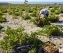 gaiawinery11-