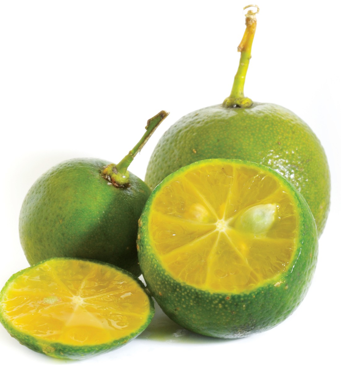 calamansi