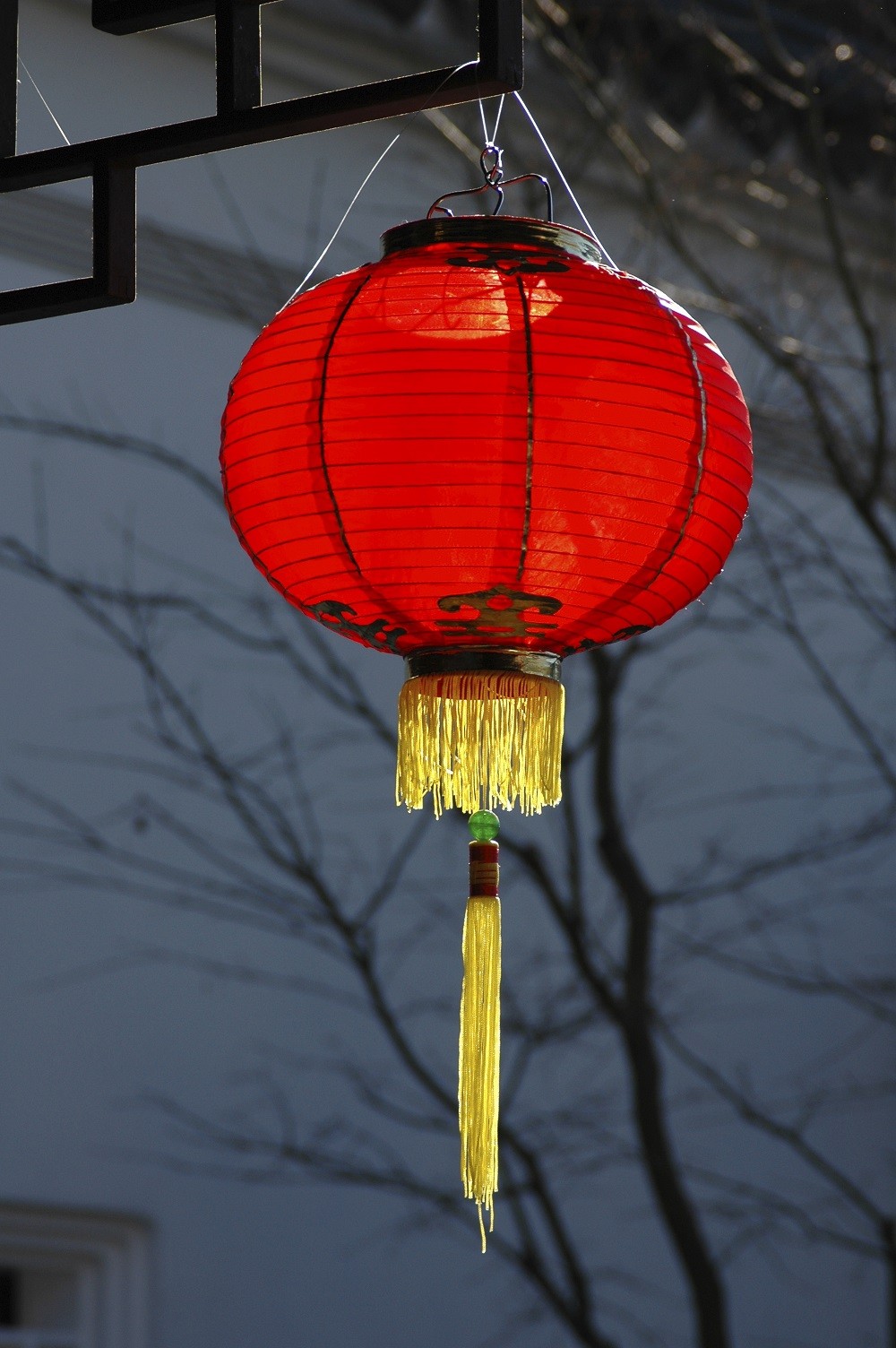 China_new