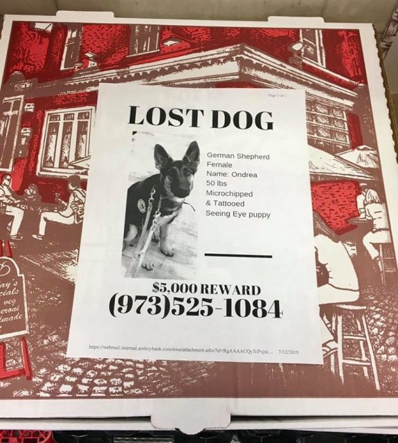 missingpets