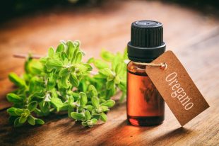 Fresh oregano twig on wooden background