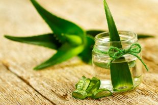 antisiptiko_aloe