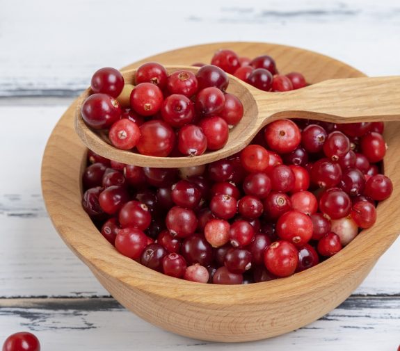 red berries of ripe lingonberries