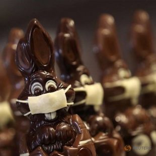 coronavirus-bunny