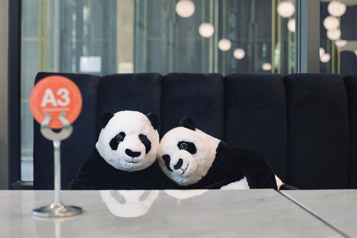 pandas2