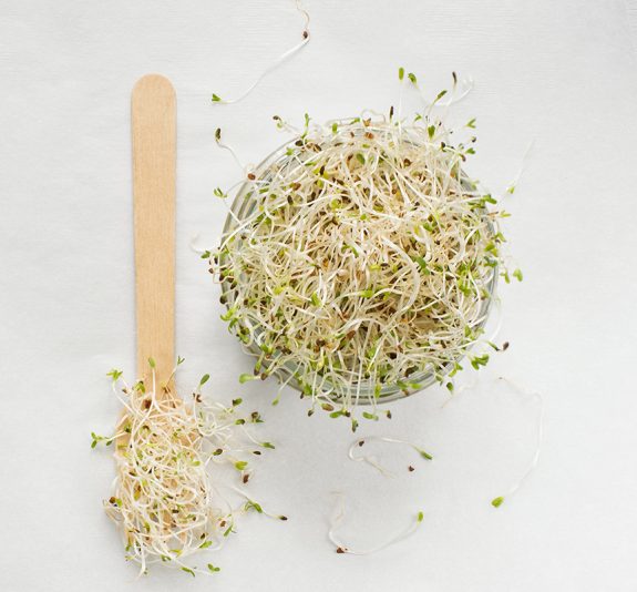 alfalfa