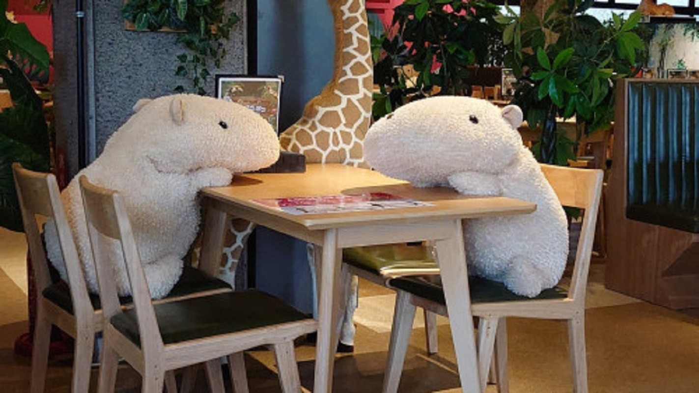 restaurant-coronavirus