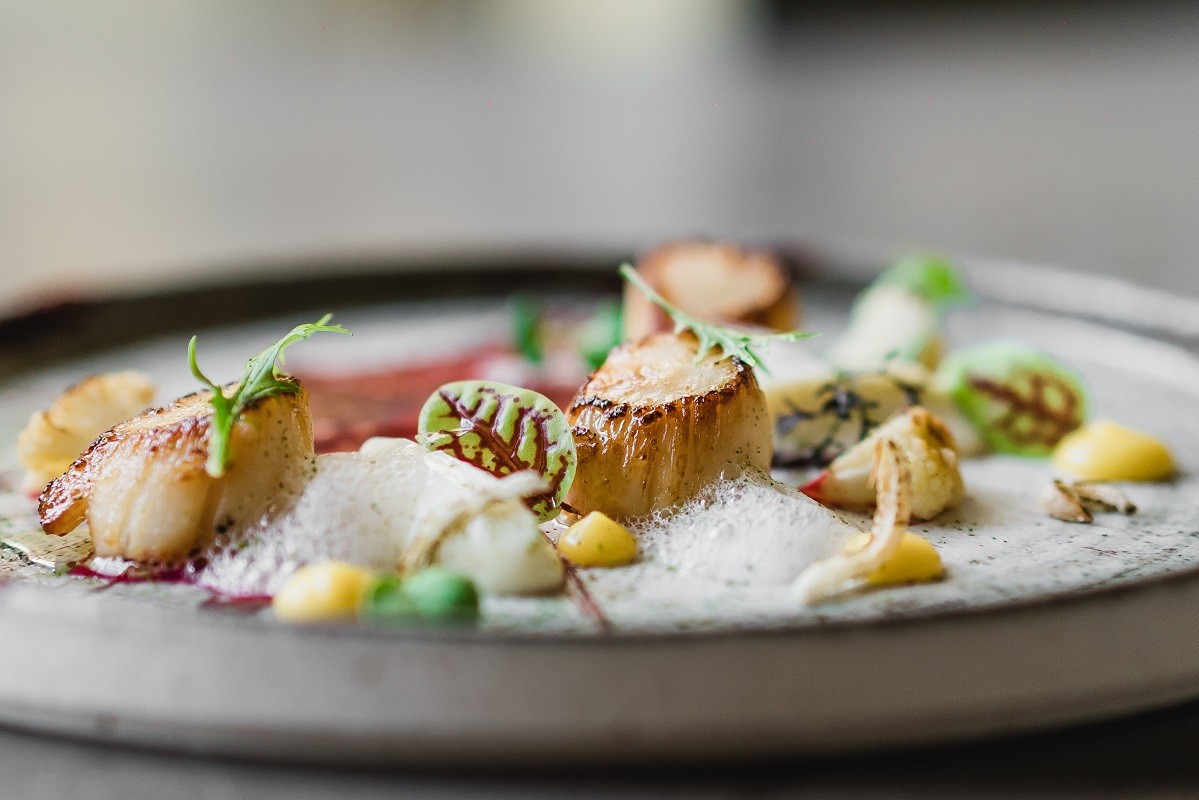 Aleria scallops
