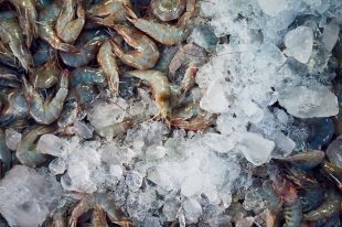 Shrimps on the street market