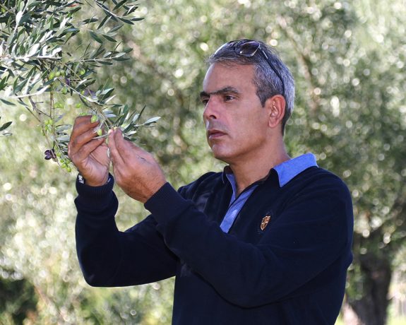 Sakellaropoulos-2