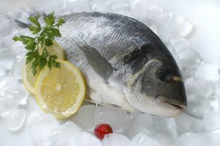 fish