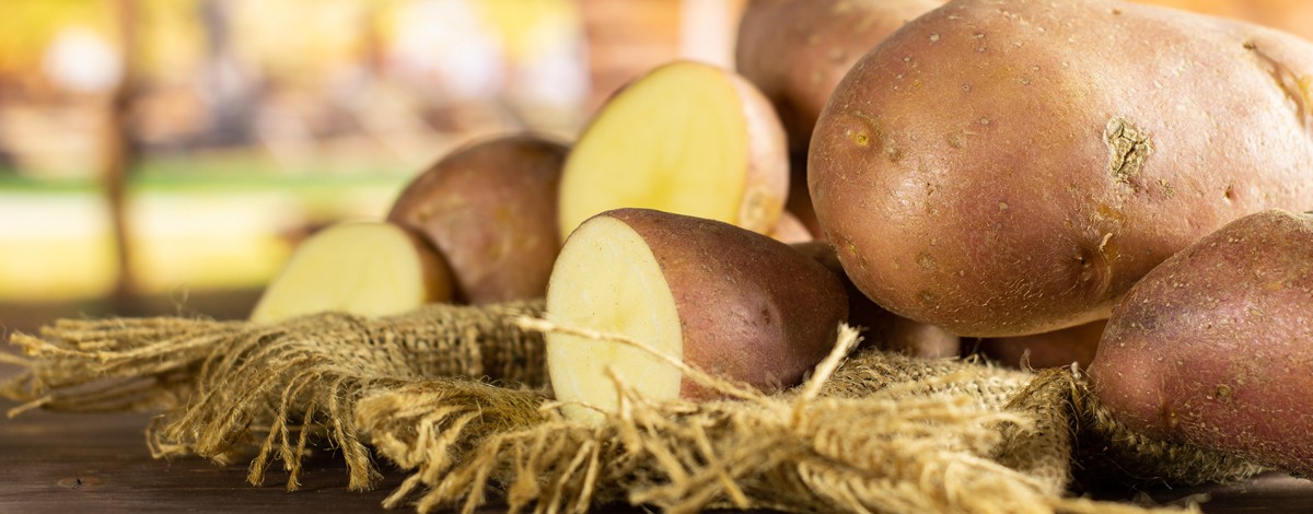 SLIDER-PATATA