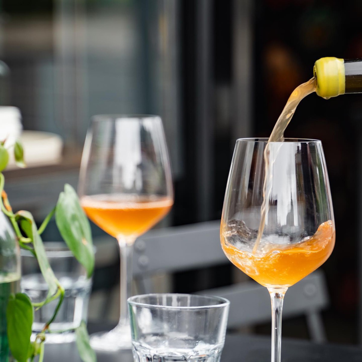 orange-wine
