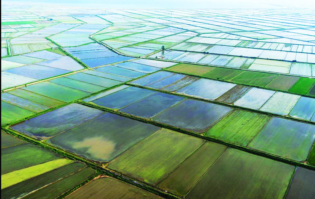 oryzones xalastras