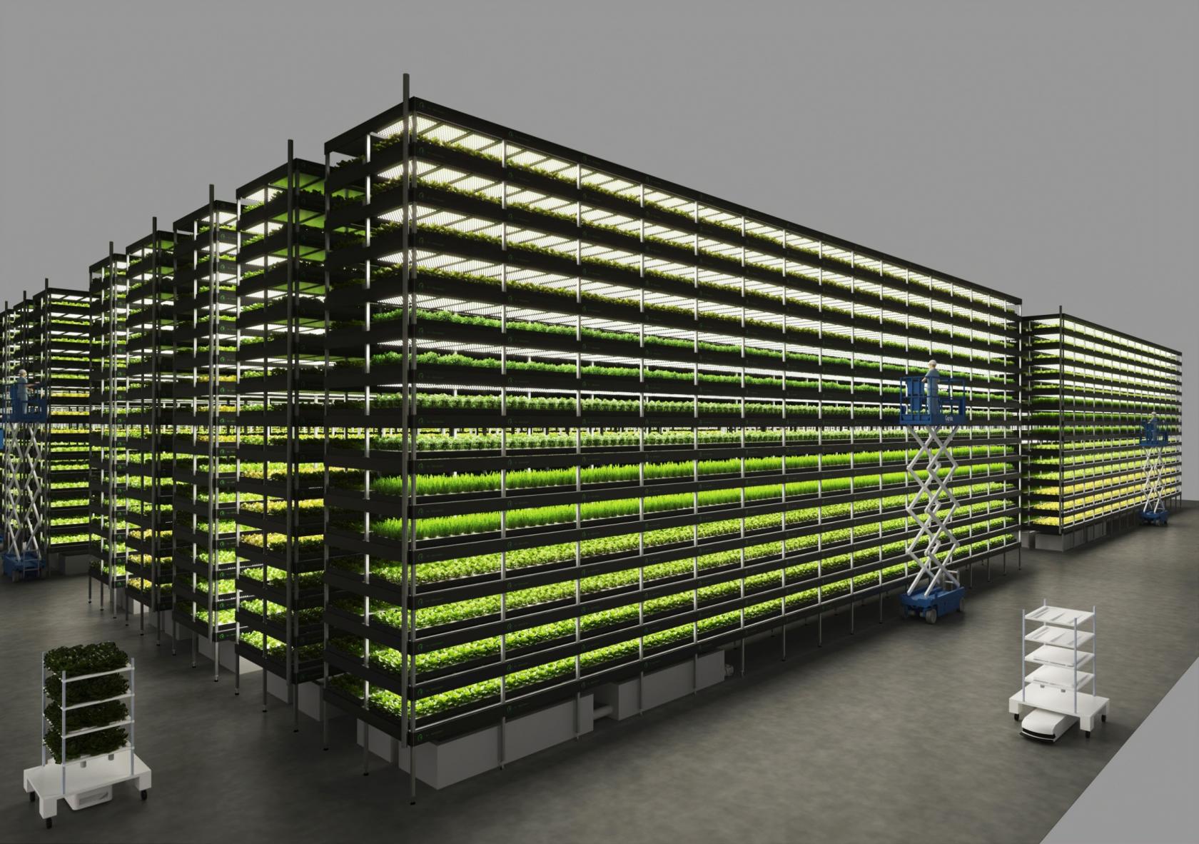 yeshealth_group_nordic_harvest_copenhagen_09