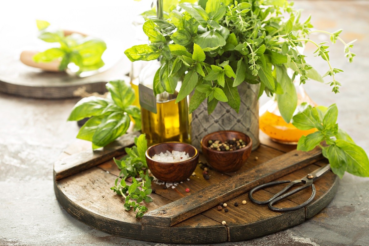 aromatika 123 mikri